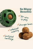 Woof Joint Health Wellness Refill Pops Dog Toy