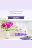 Skout's Honor Probiotic Lavender Detangler