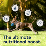 ZIWI Air Dried Beef Dog Food