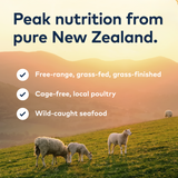 ZIWI Air Dried Lamb Cat Food