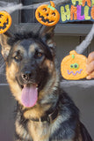 Bosco & Roxy Halloween Don't Be A Jerk-O-Lantern Dog Cookie