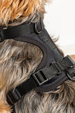 Wild One Black Dog Harness