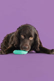 Yomp ChillChew Rubber Dog Toy