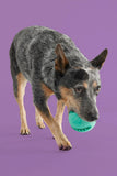 Yomp Snackin Ball Rubber Dog Toy