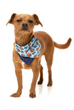 FuzzYard 'Ahoy There' Dog Bandana