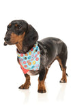 FuzzYard 'You Drive Me Glazy' Dog Bandana