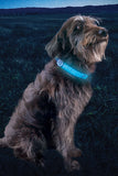 Nite Ize Rechargeable LED Collar Cover