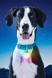 Nite Ize SpotLit XL Rechargeable Disc-O Select LED Collar Light