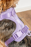 Wild One Lilac Dog Harness