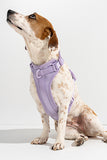 Wild One Lilac Dog Harness