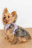 Wild One Lilac Dog Harness