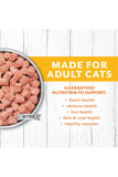 Instinct Longevity Chicken Bites Raw Cat Food Guaranteed Nutrition