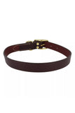 Circle T Latigo Leather Town Dog Collar with Brass Hardware