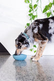 FuzzYard Life Silicone Slate Grey Dog Bowl