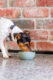 FuzzYard Life Silicone Myrtle Green Dog Bowl