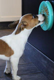 Tall Tails Lickable Suction Cup Reward Dish