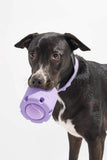 Wild One Tennis Tumble Lilac Dog Toy