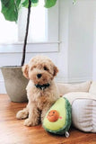 Zippy Paws Fiesta NomNomz Avocado Dog Toy